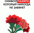 Нажмите для предварительного просмотра изображения - Дирекция спортивных сооружений