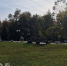 Центральный парк Йошкар-Олы обработают от грызунов и клещей - Pg12.Ru