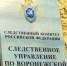 В Воронеже следователями СК возбуждено уголовное дело по факту оказания небезопасных услуг, повлекших травмирование несовершеннолетней - Следственный комитет