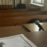 Завершено расследование уголовного дела в отношении жителя Мичуринска, обвиняемого в даче взятки должностному лицу - Следственное управление