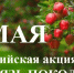 ВСЕРОССИЙСКАЯ АКЦИЯ «САД – СВЯЗЬ ПОКОЛЕНИЙ» - Управление культуры