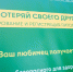 Позаботьтесь о здоровье питомца — приходите в парк! - Администрация г.о. Кашира