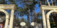 В Обнинске городской парк закрыли из-за клещей - Калужский перекрёсток