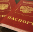 Правительство РФ предложило кратно повысить госпошлины за получение гражданства - OnlineTambov.Ru