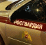 Во Фрунзенском районе наряд Росгвардии задержал хулигана, прыгавшего на капоте и крыше припаркованного автомобиля - Росгвардия