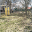 Более 250 территорий в Кирове обработают от клещей - ГТРК Вятка