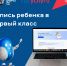 ​Более 9500 заявлений о приеме детей в первые классы уже подано в Ярославской области - Правительство