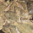 Названы основные промысловые виды рыб Черного и Азовского морей - Кубанские Новости
