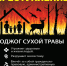 Пал сухой травы - ПРЕСТУПЛЕНИЕ! - Судиславский муниципальный округ