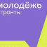 Чернышенко: победители конкурса «Росмолодежь. Гранты» получат до 1 млн рублей - Северо-Западный институт управления