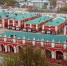 Калуга-поиск - Kaluga-Poisk.Ru