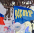 img - ЛДПР