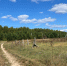 В Бековском районе появится агродеревня - Progorod58.Ru