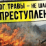 Памятки для населения "Пал сухой травы - преступление!" - Мантуровский муниципальный округ