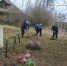 img - ЛДПР