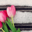 334 - News102.Ru