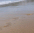 twtj43xdu9xccto7c4zcaio9953ipcm1.jpeg - Primorye24.Ru