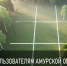 Фото: minlhpb.amurobl.ru - Амурское областное телевидение