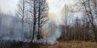С начала сезона в Новосибирской области потушили 20 лесных пожаров - КП-Новосибирск