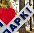 Тематическое фото Александр Тен, ИА SakhalinMedia - SakhalinMedia.Ru