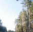 Скрин видео - Алтайская правда