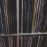 Xzibit и "Мелодия", Polaroid и "Жигули": молодые коллекционеры показали свои сокровища - ИА Омск здесь