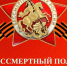 В Курганской области акция «Бессмертный полк» состоится только в онлайн-формате.. - Шумихинский муниципальный округ