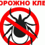 Изображение без описания. - Миасский городской округ