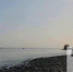 В Тольятти ожидается до +25°C - TltGorod.Ru