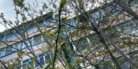 В Татарстане 5 мая ожидается переменная облачность и до +26 °C - Газета Посинформ