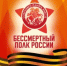 Приглашаем принять участие во всероссийской акции Бессмертный полк онлайн - Дюртюлинский район