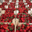 image - GazetaRB.Ru