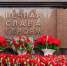 Фото: Фёдор Воронов / «Ямал-Медиа» - Красный Север