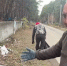Городу требуется новое кладбище - Дума Усолье-Сибирского