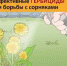 Как эффективно уничтожать сорную растительность на даче - Калтасинский район