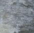 За тёплые дни в Красноярске резко поднялся уровень воды в малых реках - 1-LINE