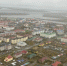 img - ЛДПР