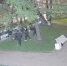 background - Вологда-поиск