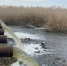 В Наримановском районе по поручению губернатора повышают водообеспеченность ильменей - Южная Волна