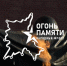 Частица Вечного огня прибудет в Омск 6 мая - Вечерний Омск