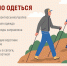 Как защитить себя от клещей - Пачелмский район