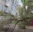 img - ЛДПР