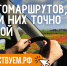 Путешествуйте по стране на автомобиле и открывайте новые места вместе с нацпроектом «Туризм и гостеприимство» - ЗАТО Знаменск