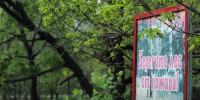 лес_пожар - Novosti-Saratova.Ru