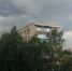 В Петербурге 5 мая будет царить крепкий ветер до 17 м/с - Neva.Today