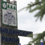 Жителей Коми предостерегли от покупки участков в Выльгорте - Bnkomi.Ru