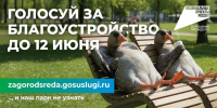 Ваш голос — это ваш вклад в будущее нашего общего дома! - Газета Кологривский край