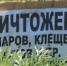 В городе Башкирии запретили посещать парк - Башинформ