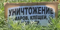 В городе Башкирии запретили посещать парк - Башинформ