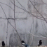 image - GazetaRB.Ru
